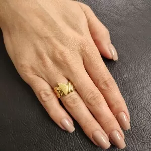 Anel Ouro 18K