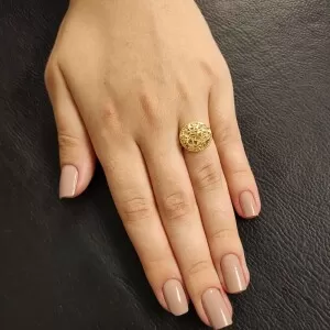 Anel Ouro 18K