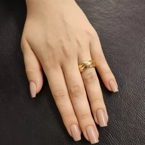 Anel Ouro 18K Duas Cores