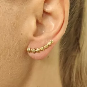 Brincos Ouro 18K E Diamantes