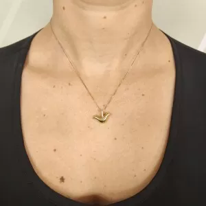 Colar Ouro 18K Duas Cores E Diamantes